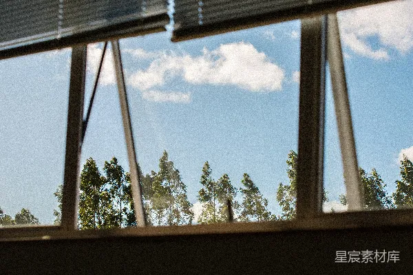 透过窗户看到的树木景色