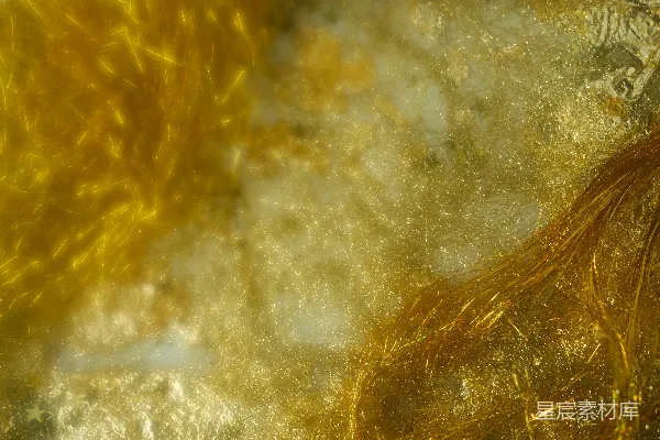 高清摄影 金色纤维和白色材料的特写抽象纹理。