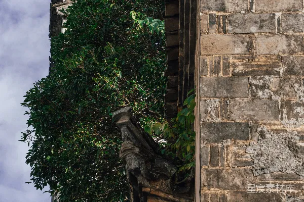 古老的石建筑被茂密的绿树覆盖着