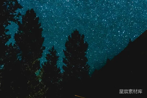 近树的棕色木屋夜空繁星之下