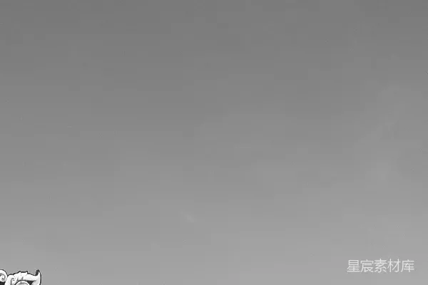 有雕像顶部的建筑