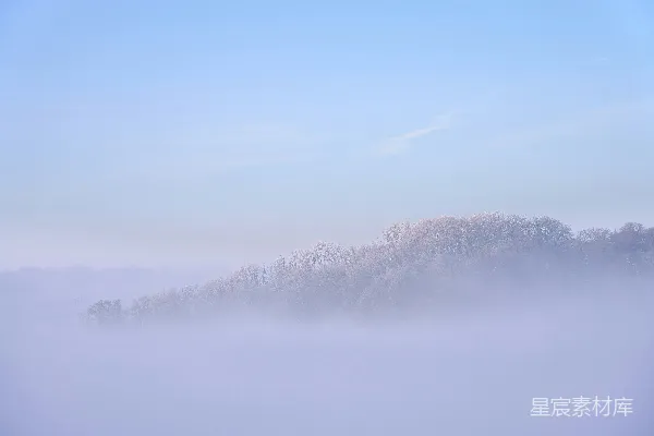 雾蒙蒙的，树和天空之间寒冷的景象。