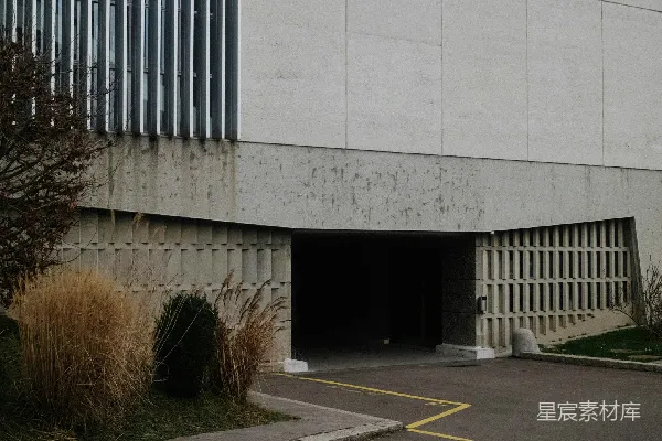 高清摄影 白天，绿色树木旁的白色混凝土建筑