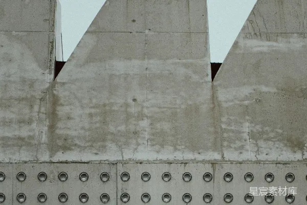高清摄影 一只鸟栖息在建筑物的一侧。