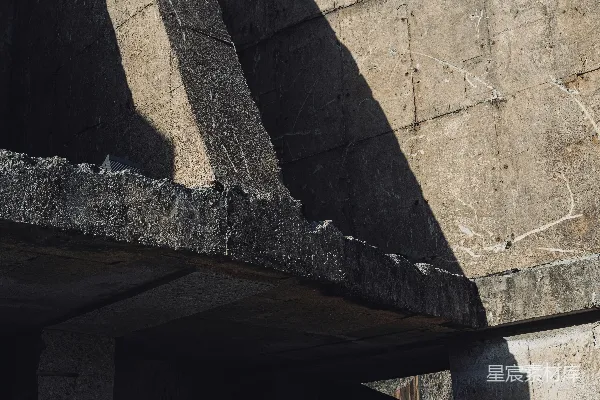 高清摄影 一只鸟停在建筑物的窗台上。