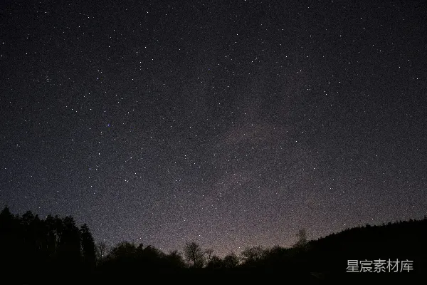 夜空中树木的轮廓剪影，星光点点。