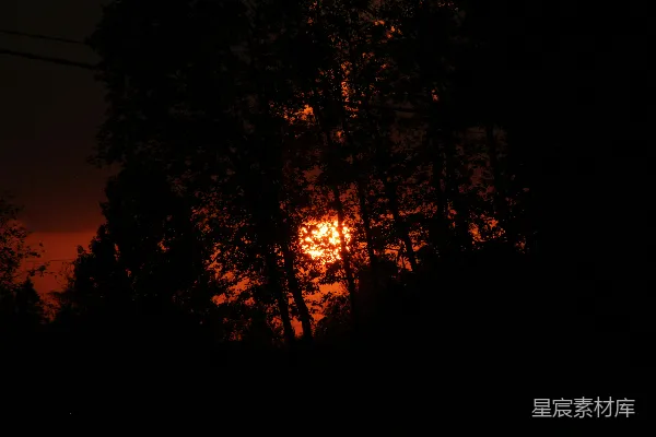 夕阳落在一些树后