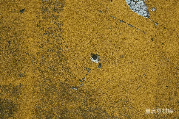 高清摄影 棕色和白色的混凝土地板