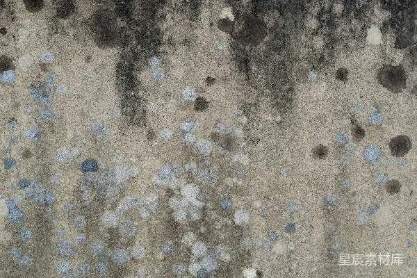 高清摄影 棕色和黑色抽象画作