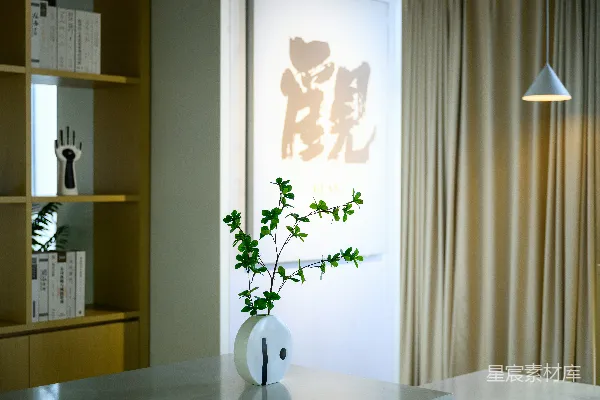 一盆植物放在桌子上的花瓶
