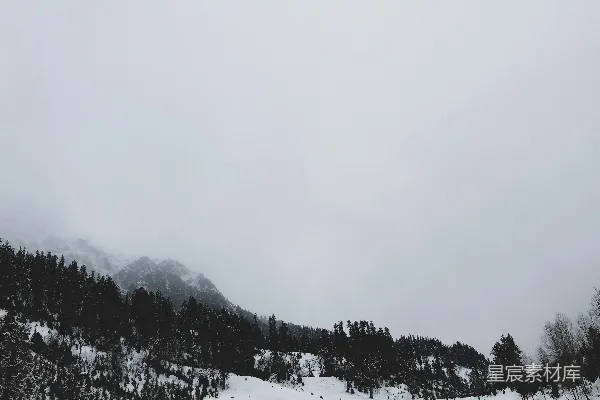 白天树木和山脉被雪覆盖