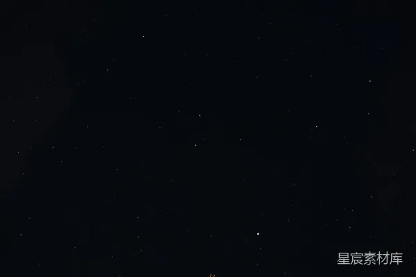 夜晚的树被星空照亮