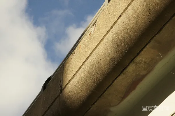 高清摄影 一只鸟停在建筑物的一侧。