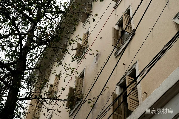 建造带有开放式百叶窗和树干的外部结构