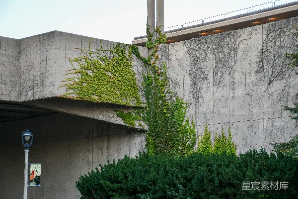 高清摄影 一座建筑物旁边长着植物的建筑