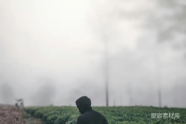 一个男人站在一片田地的中央
