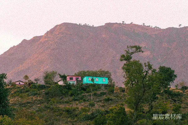白天山间绿树 Browns Mountain 白天 绿树