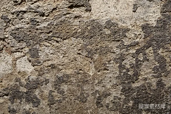 高清摄影 一张石墙的特写，上面有一只鸟。