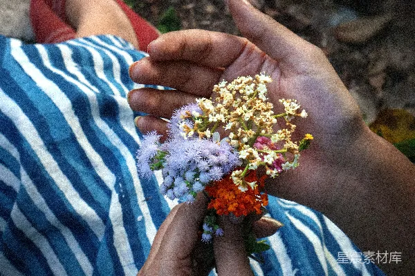 手持鲜花的人