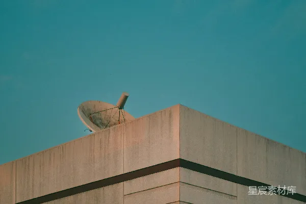 高清摄影 一只鸟坐在建筑物的顶端。