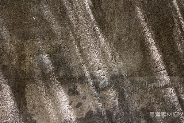 高清摄影 一只黑白相间的猫坐在地上，靠近一堵墙。