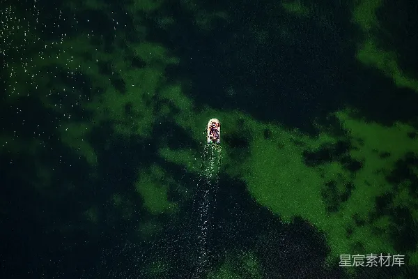 一个站在郁郁葱葱草地上的身影