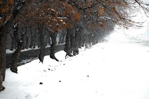 一个骑着单板滑雪的人沿着覆盖着雪的道路滑下。