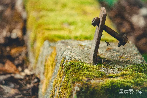 高清摄影 一座木制十字架坐落在长满青苔的墙上