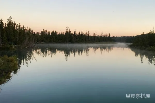 湖边有一片树林的水域
