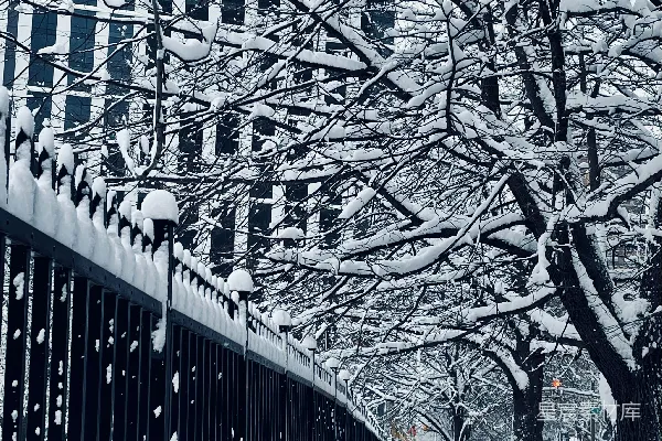 一条被雪覆盖的 sidewalk 靠近一座高楼大厦