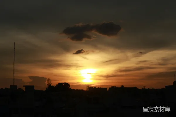 夕阳下的树影轮廓