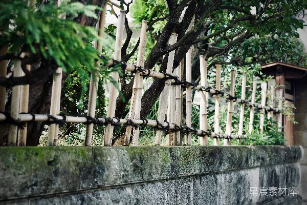 高清摄影 白天的混凝土墙上有木制尖桩
