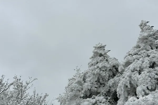 滑雪板运动员正在下雪坡滑行