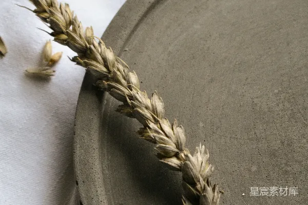 高清摄影 圆形灰色托盘