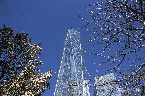 一座矗立在树前的高大建筑物