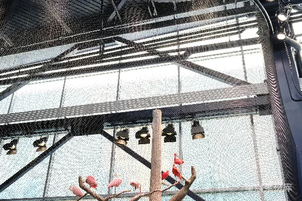 粉色火烈鸟栖息在一栋现代建筑内的树上。