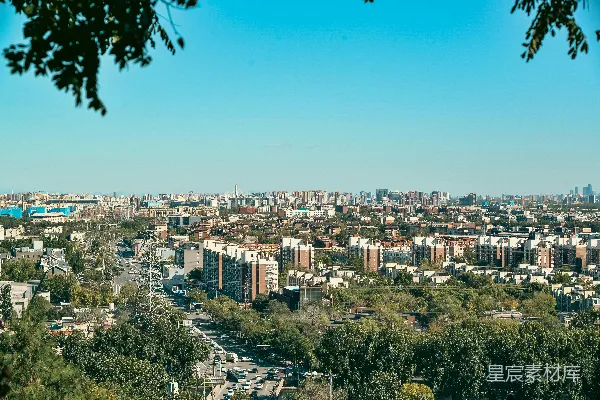 一幅城市全景图，包含建筑和树木的景象。