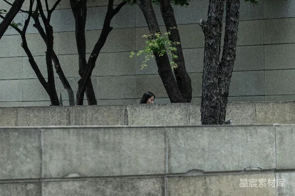 高清摄影 一个男人在树旁的人行道上行走。