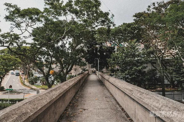 高清摄影 白天绿树环绕的棕色木桥