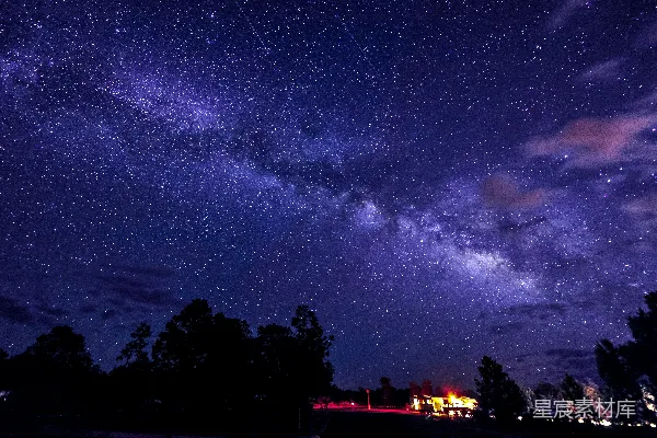 星空下树木与灯火辉煌的建筑