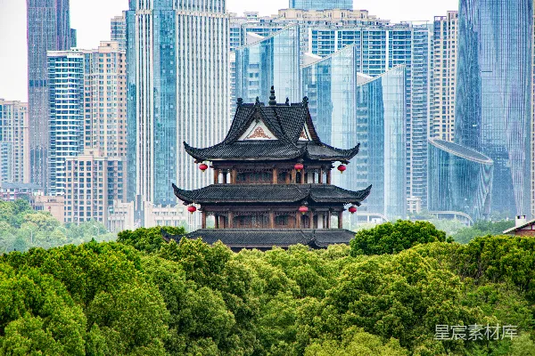高清摄影 一栋高大的建筑矗立在森林中央
