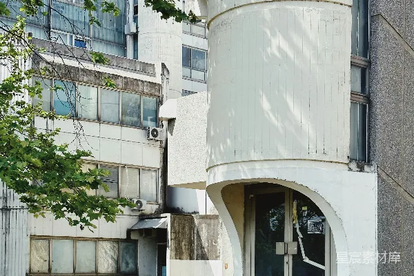 高清摄影 一座高大的白色建筑前有一棵树。