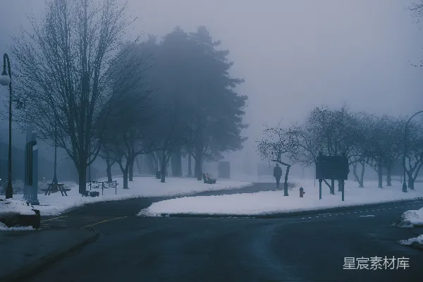 一个雪覆盖的街角停着一个停止标志。