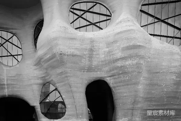 高清摄影 一幅黑白照片，展示了一栋建筑，建筑上有圆形窗户。