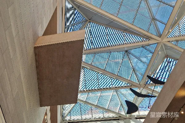 高清摄影 建筑物玻璃屋顶的天花板