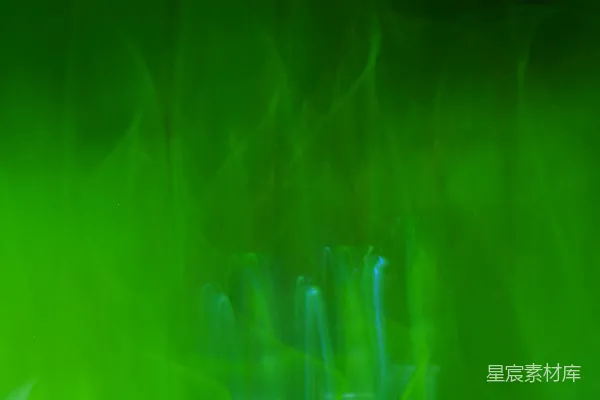 一幅模糊的绿色植物的照片