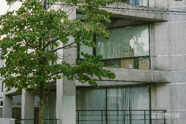 高清摄影 白天，白色混凝土建筑旁边有一棵绿树。