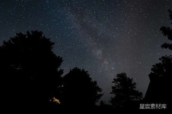 天上的树和星星