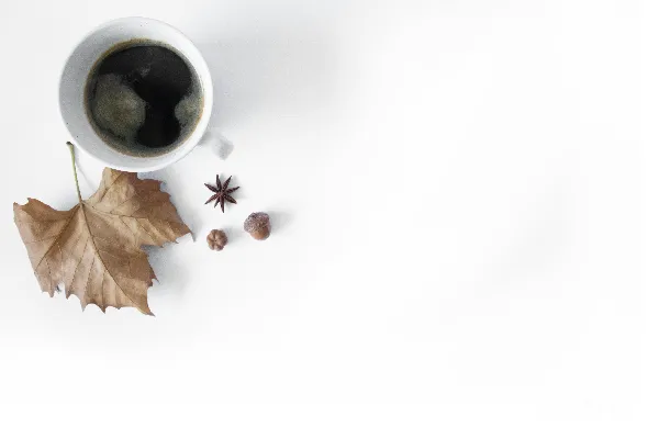 白瓷茶杯中盛着黑液。