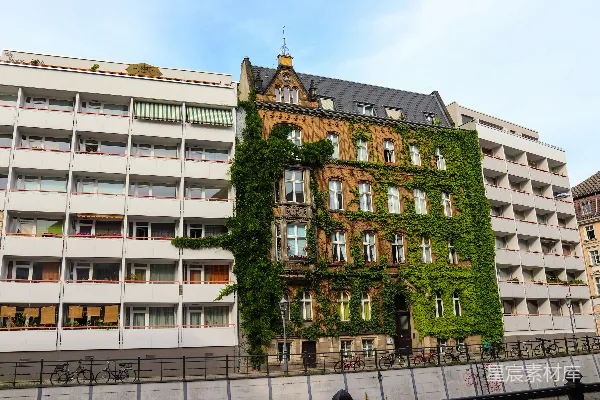 高清摄影 棕色和灰色的建筑上爬满了藤蔓。